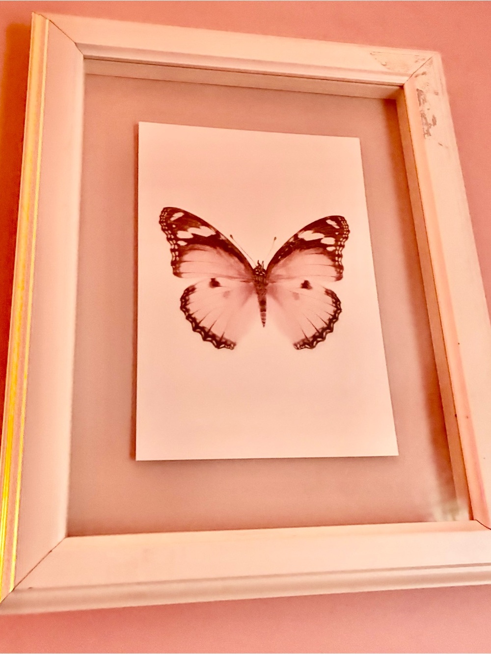 Butterfly Wall Art Print in  Frame